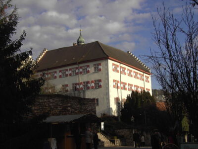 Schloss Tiengen (D)